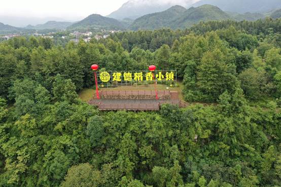 浙江庆丰收活动在建德成功举办，全面展示新农村风采