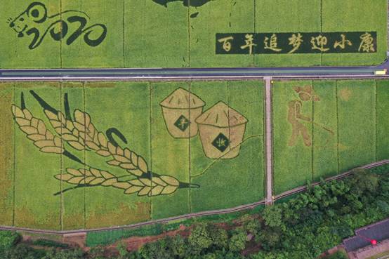 浙江庆丰收活动在建德成功举办，全面展示新农村风采