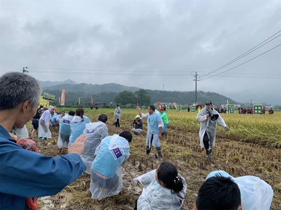 浙江庆丰收活动在建德成功举办，全面展示新农村风采
