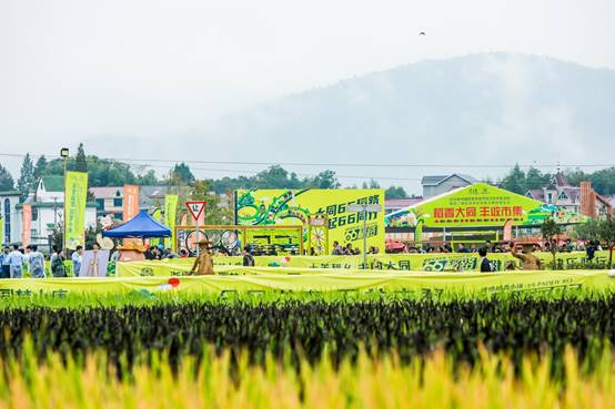 浙江庆丰收活动在建德成功举办，全面展示新农村风采