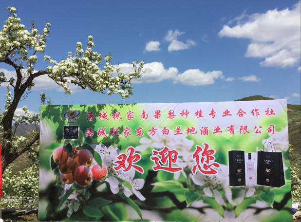 辽宁省海城市马风镇祝家村