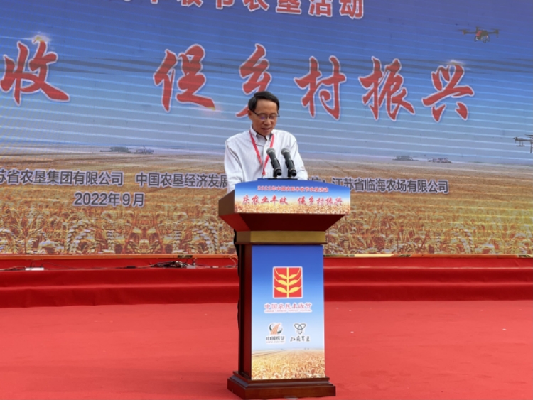 螺丝批发展望与市场动态