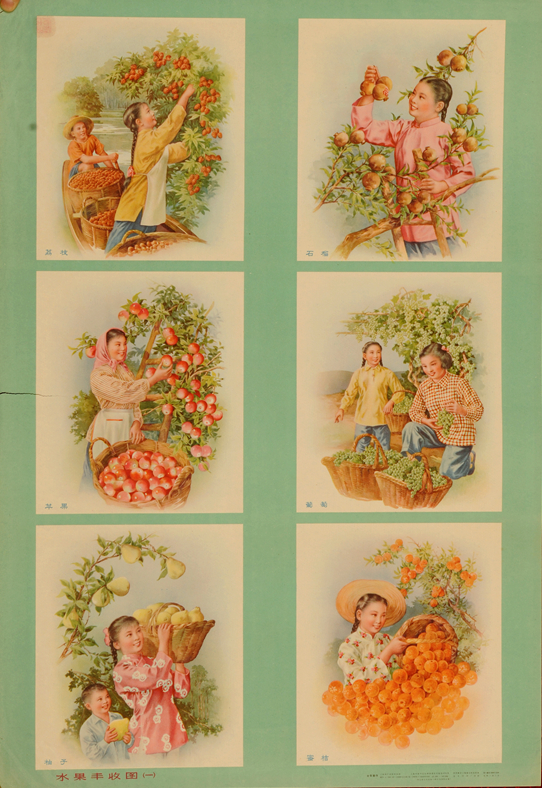农民宣传画之水果