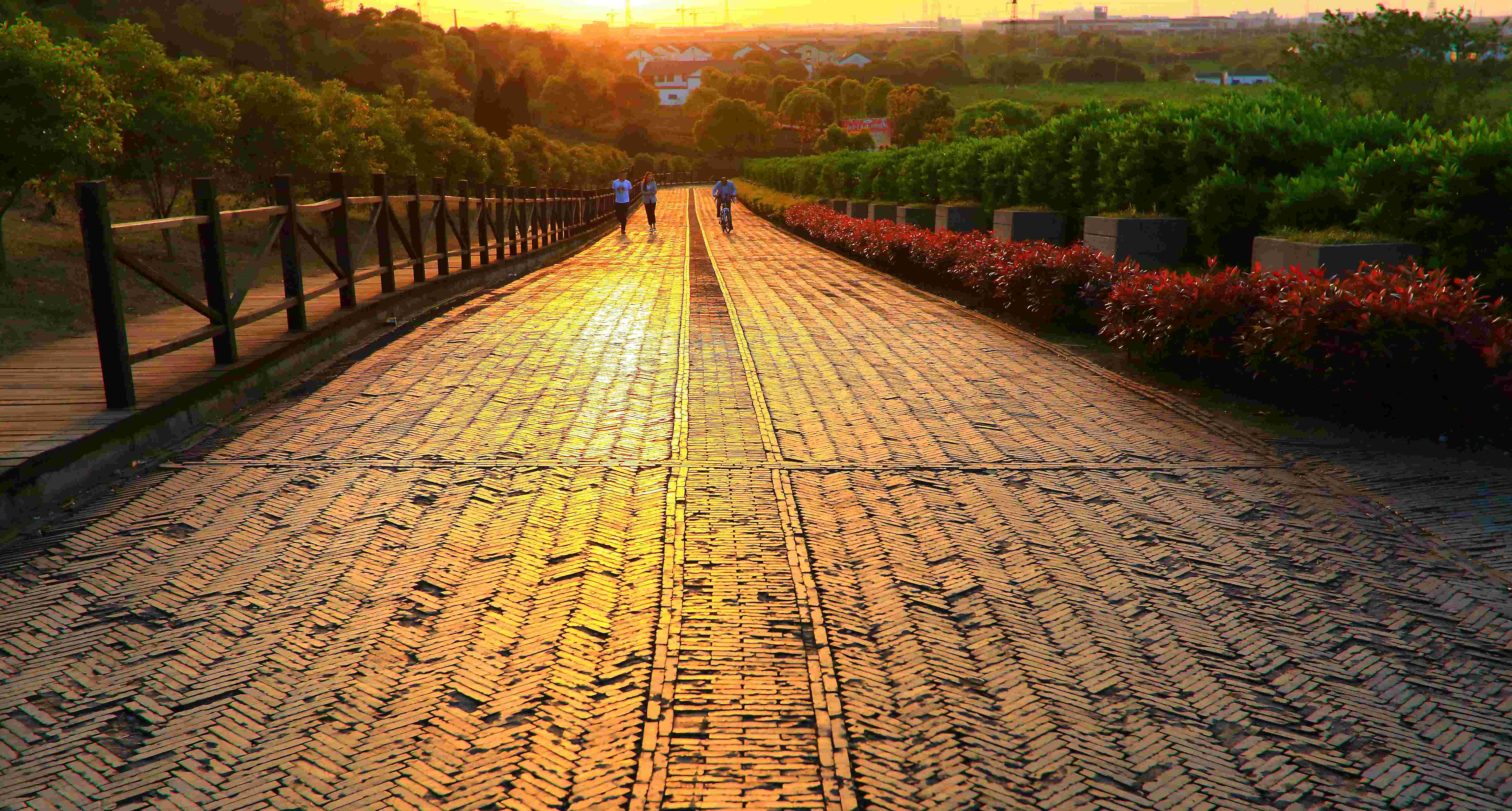 江苏省高新区树山村