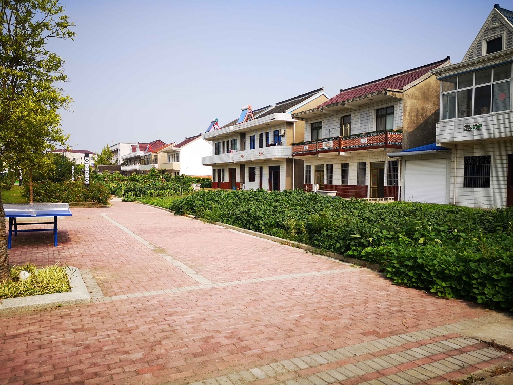 江苏省海门市友爱村