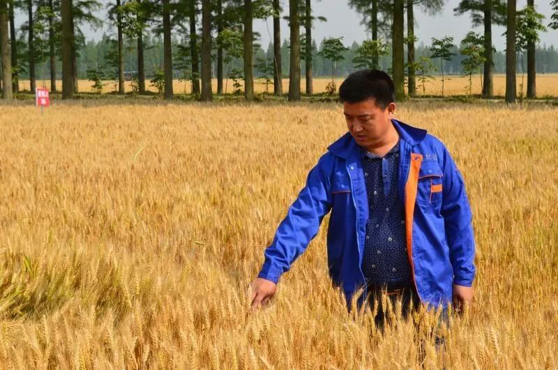 张新生:立志改变家乡面貌的带头人